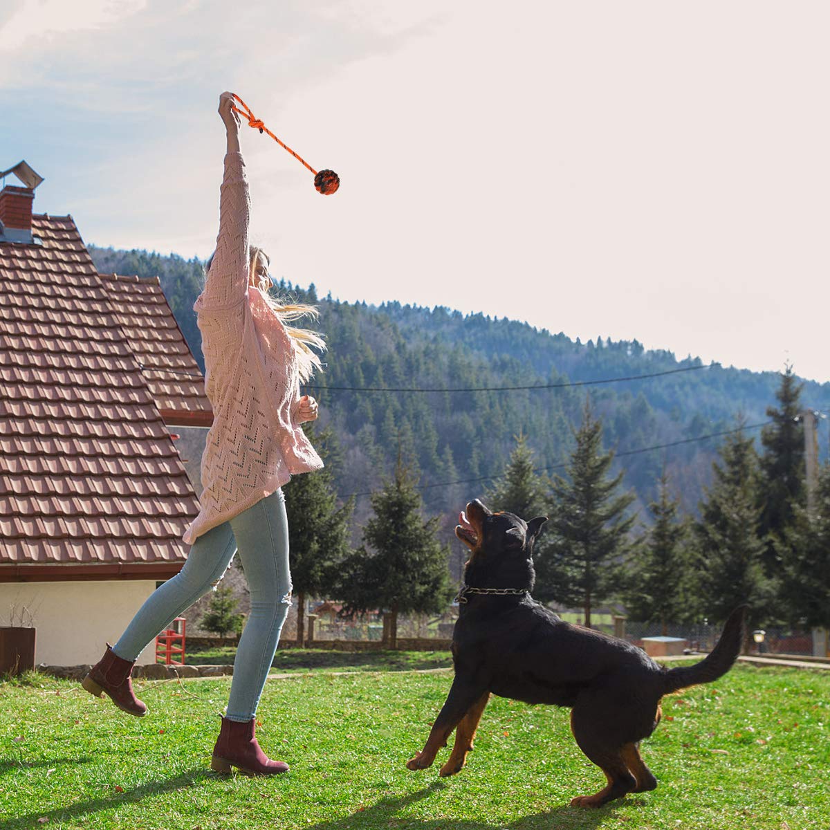 Nevperish training ball for dogs to improve coordination and fitness