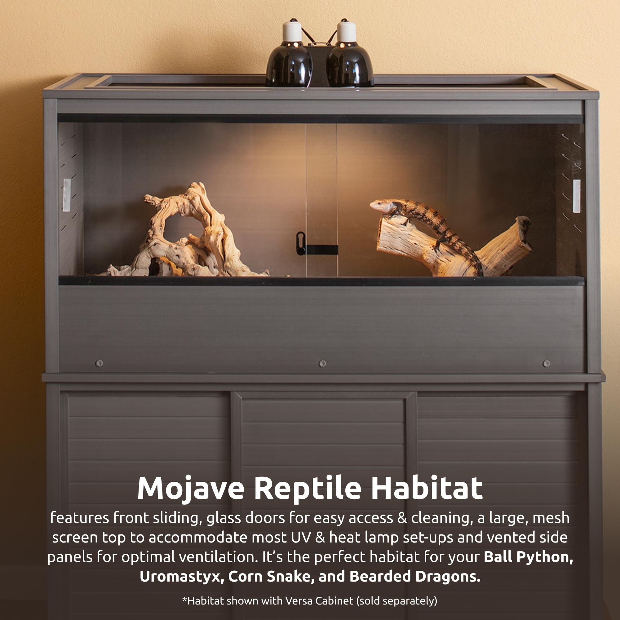 New Age Pet Mojave Reptile Lounge offers a wide, unobstructed view of the reptile.