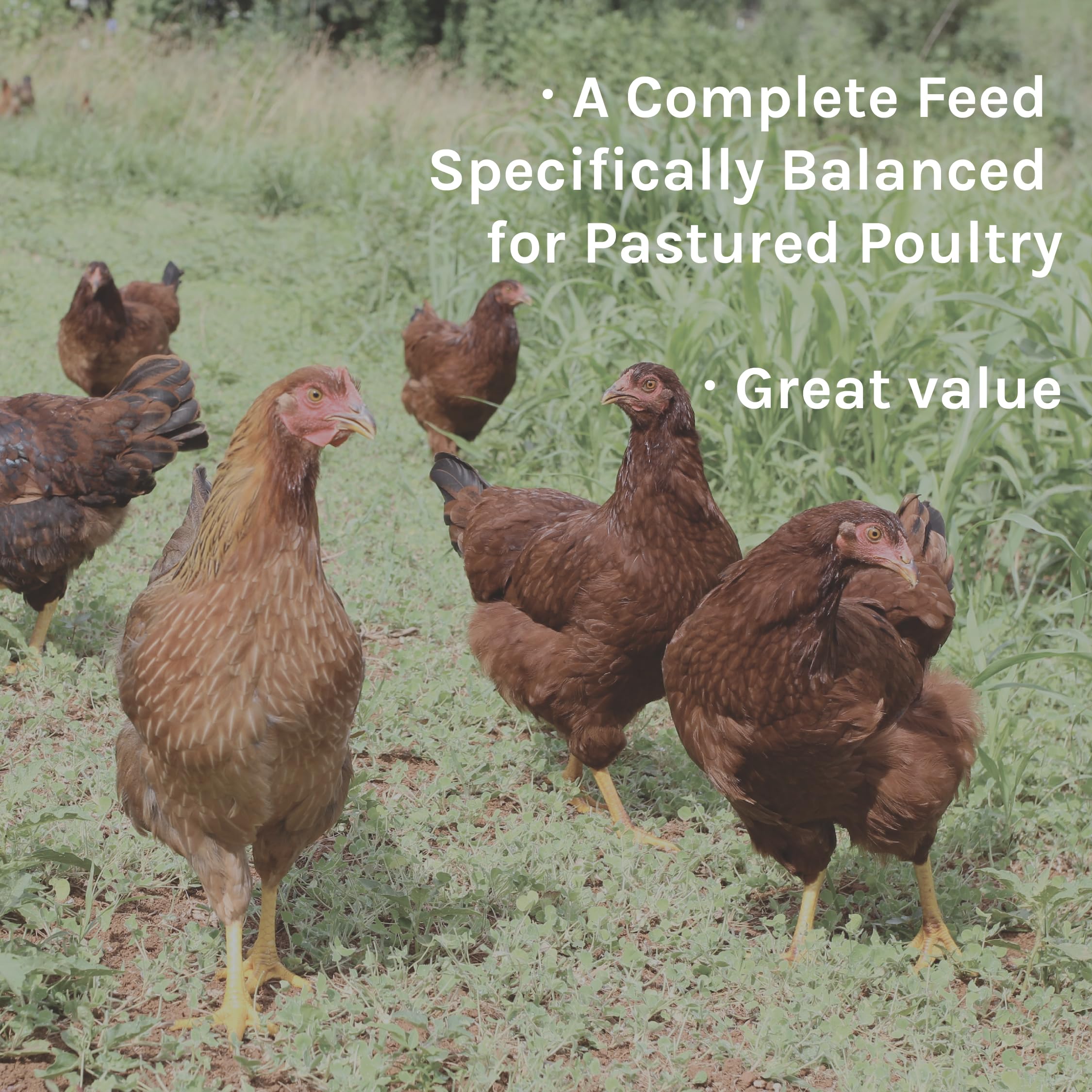 New Country Organics corn-free, soy-free label emphasizes clean nutrition.