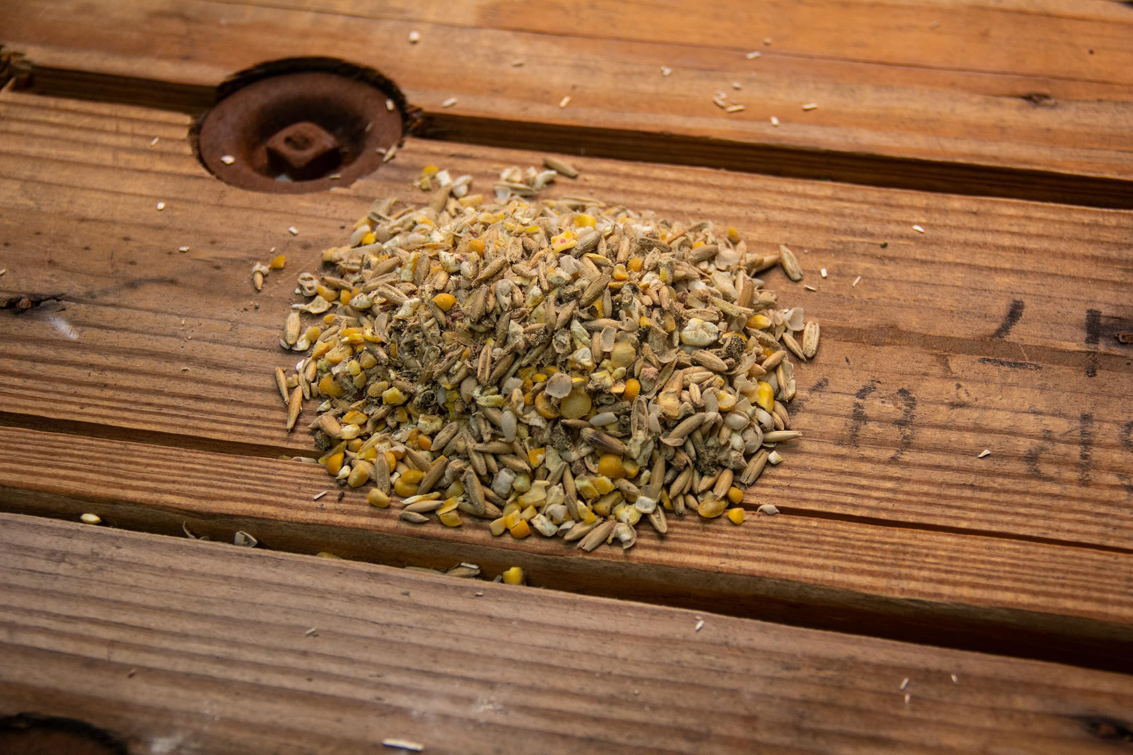 New Country Organics layer feed promotes strong eggshells in laying hens.