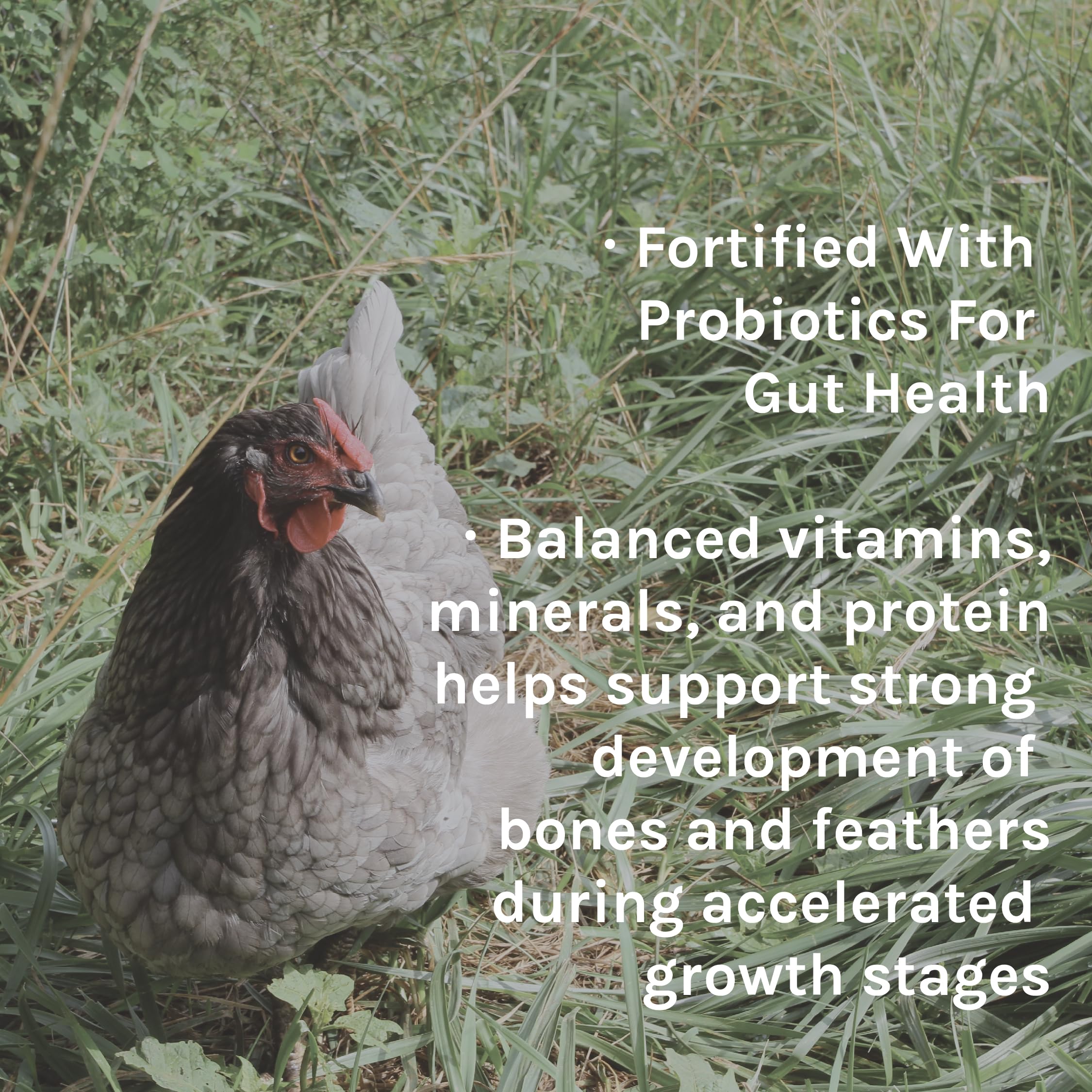 New Country Organics North American-sourced ingredients support trusted nutrition.