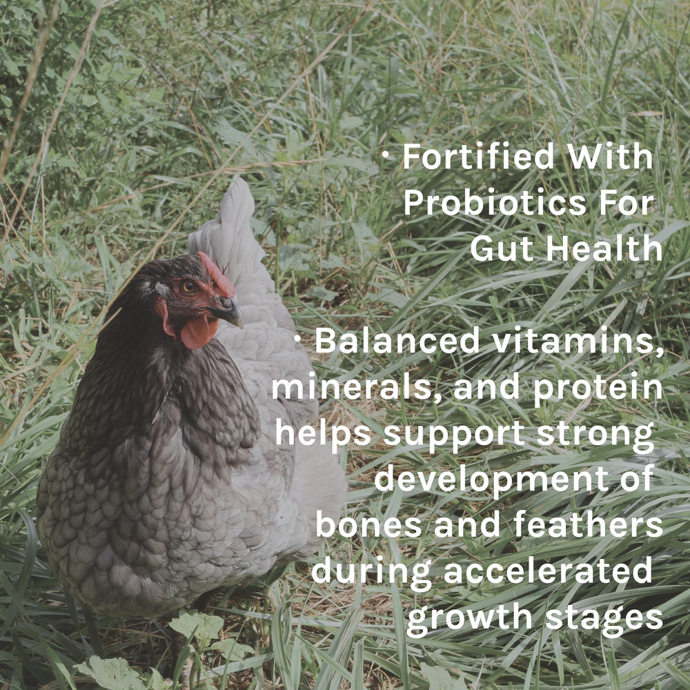 New Country Organics North American-sourced ingredients support trusted nutrition.