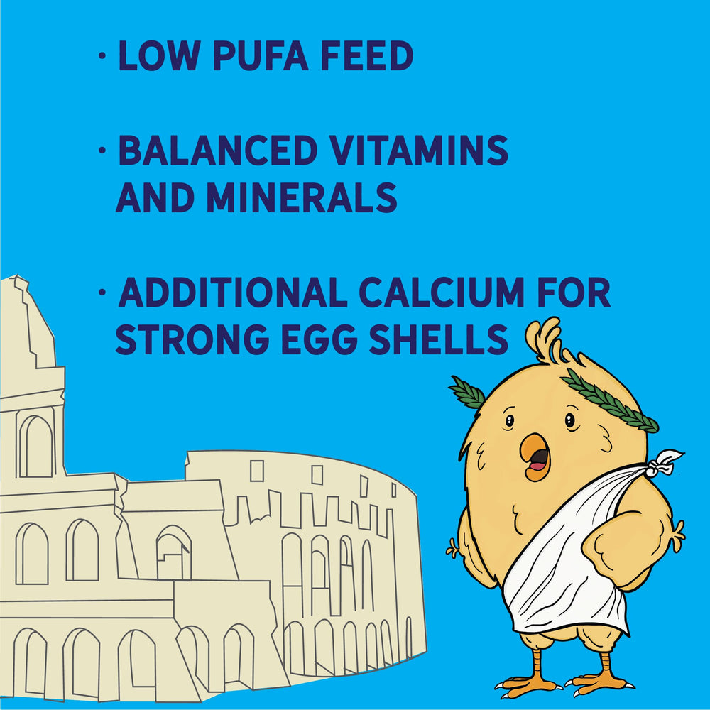 New Country Organics olive oil layer feed ideal for backyard flocks.