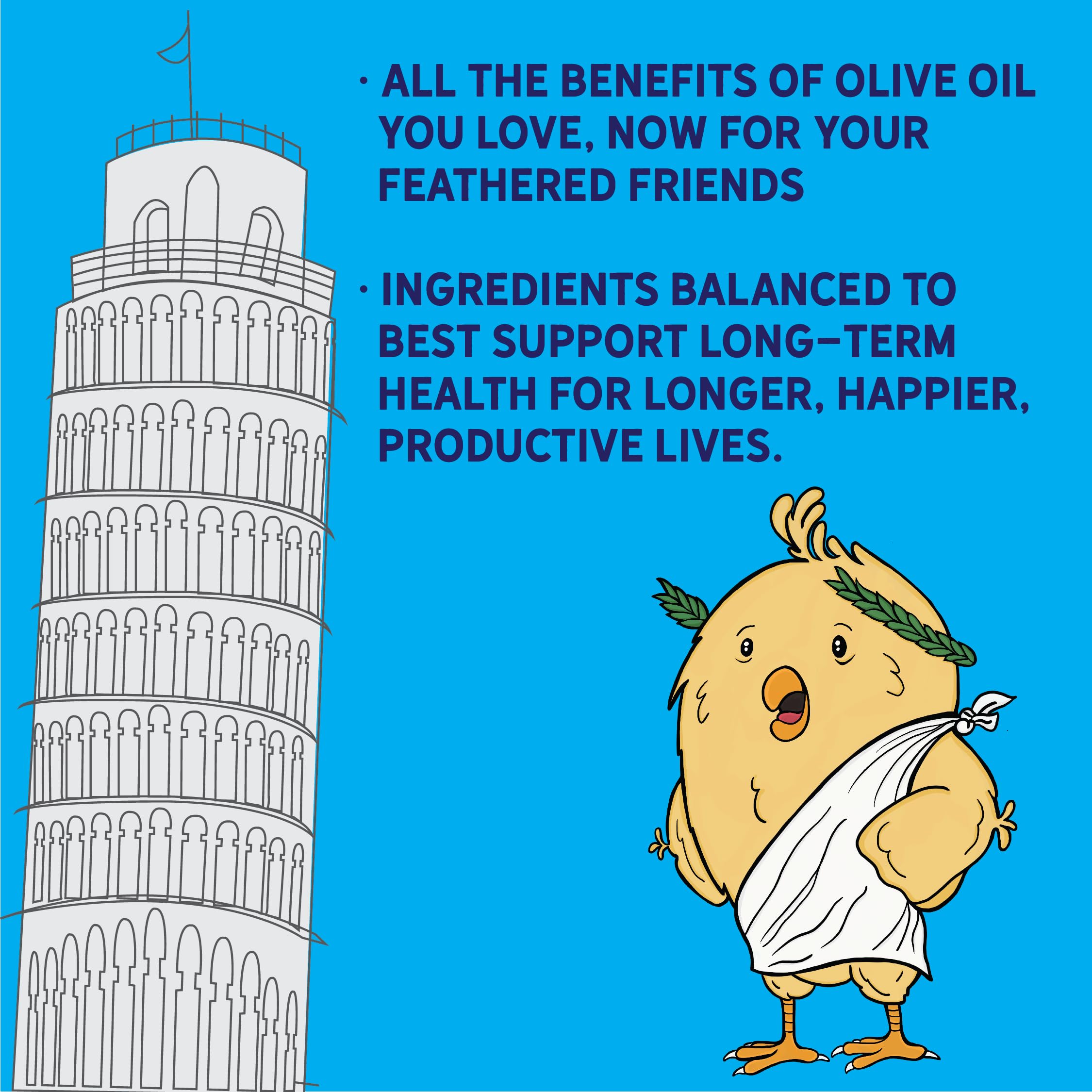 New Country Organics olive oil layer feed supports stronger eggshells and better shells.