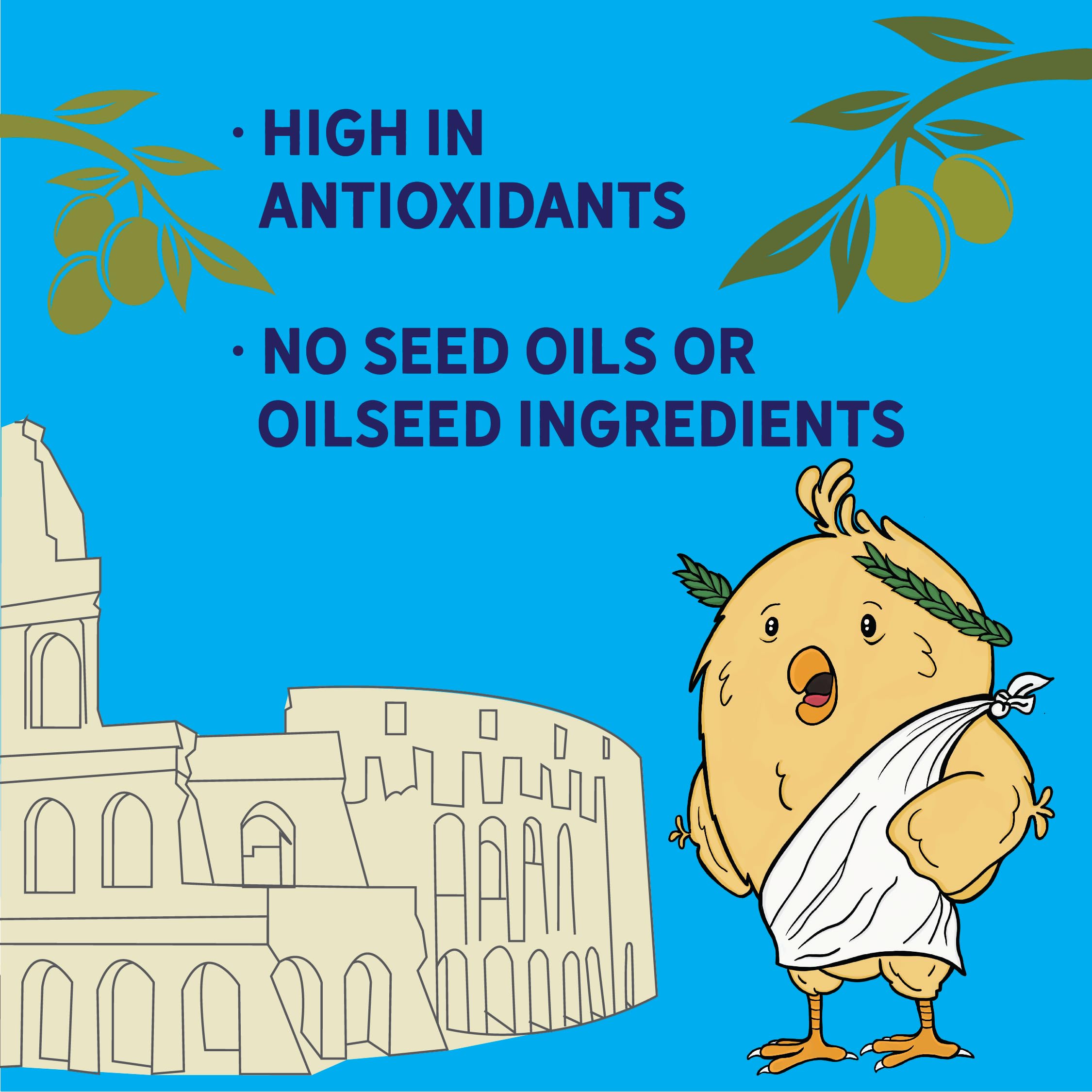 New Country Organics olive oil layer feed provides 17% protein for healthy hens.