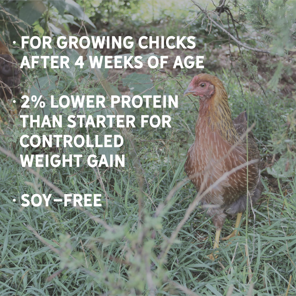 New Country Organics organic non-GMO ingredients sourced in North America.
