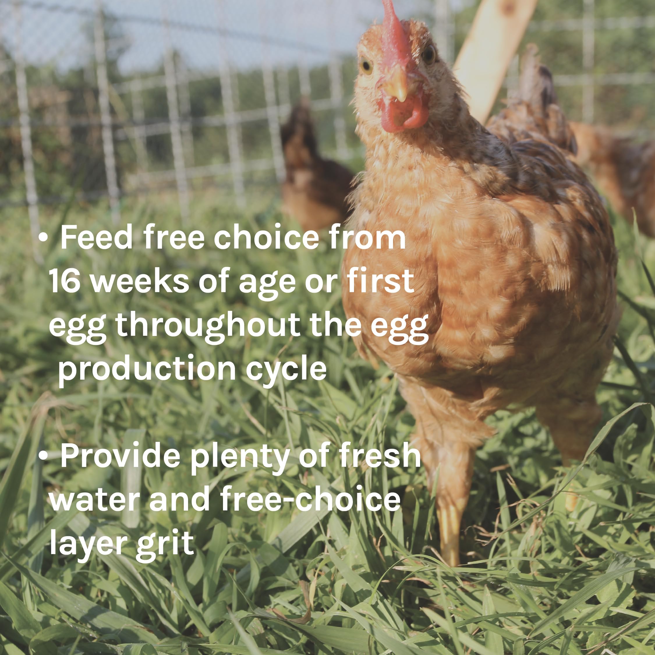 New Country Organics organic non-gmo seal highlights trusted quality.
