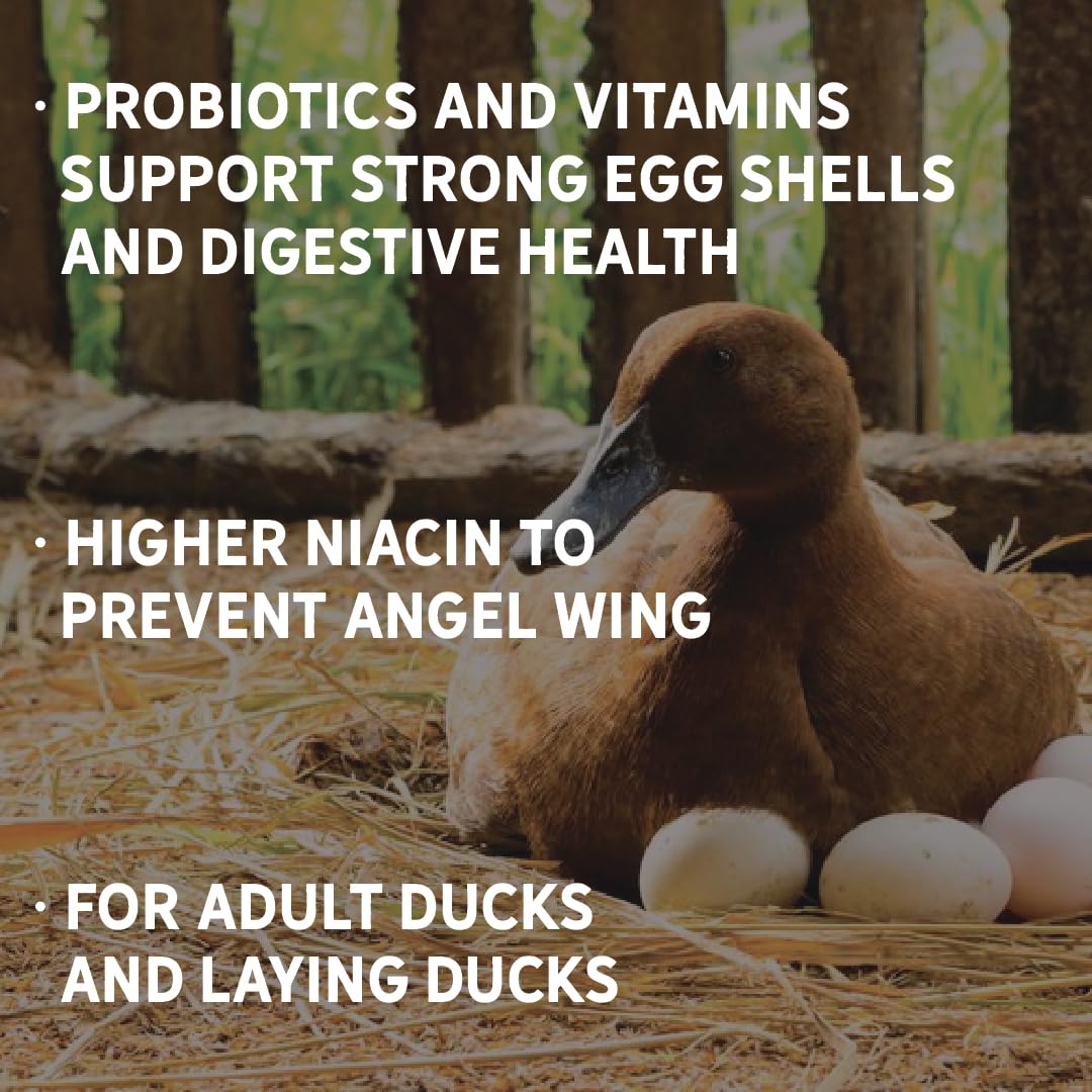Probiotics and vitamins added to New Country Organics duck feed for digestion