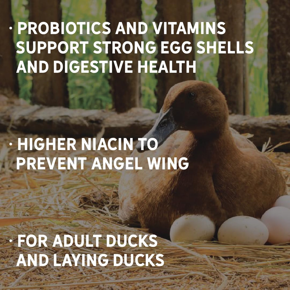 Probiotics and vitamins added to New Country Organics duck feed for digestion