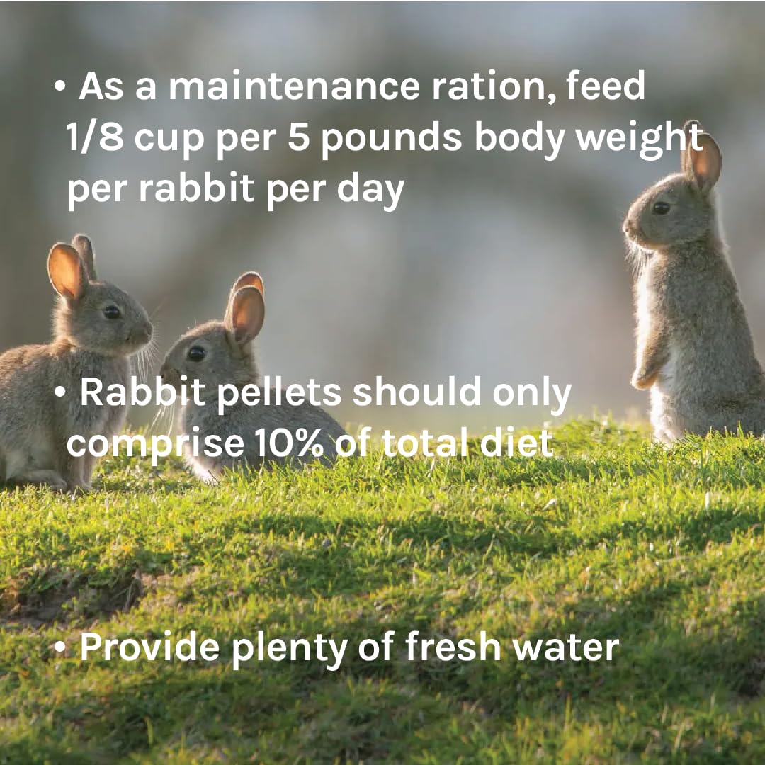 New Country Organics rabbit pellets textured crunch enhances mealtime engagement