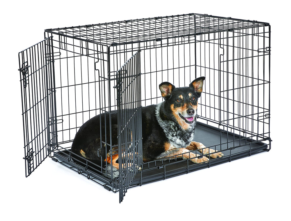 New World 36-Inch crate with front door for easy access and secure containment.