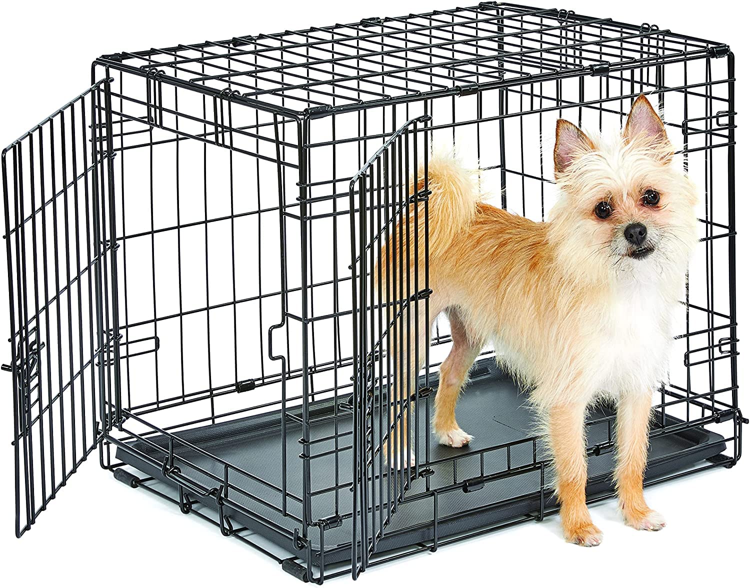 New World 24-inch crate for small dogs provides a secure, cozy space.