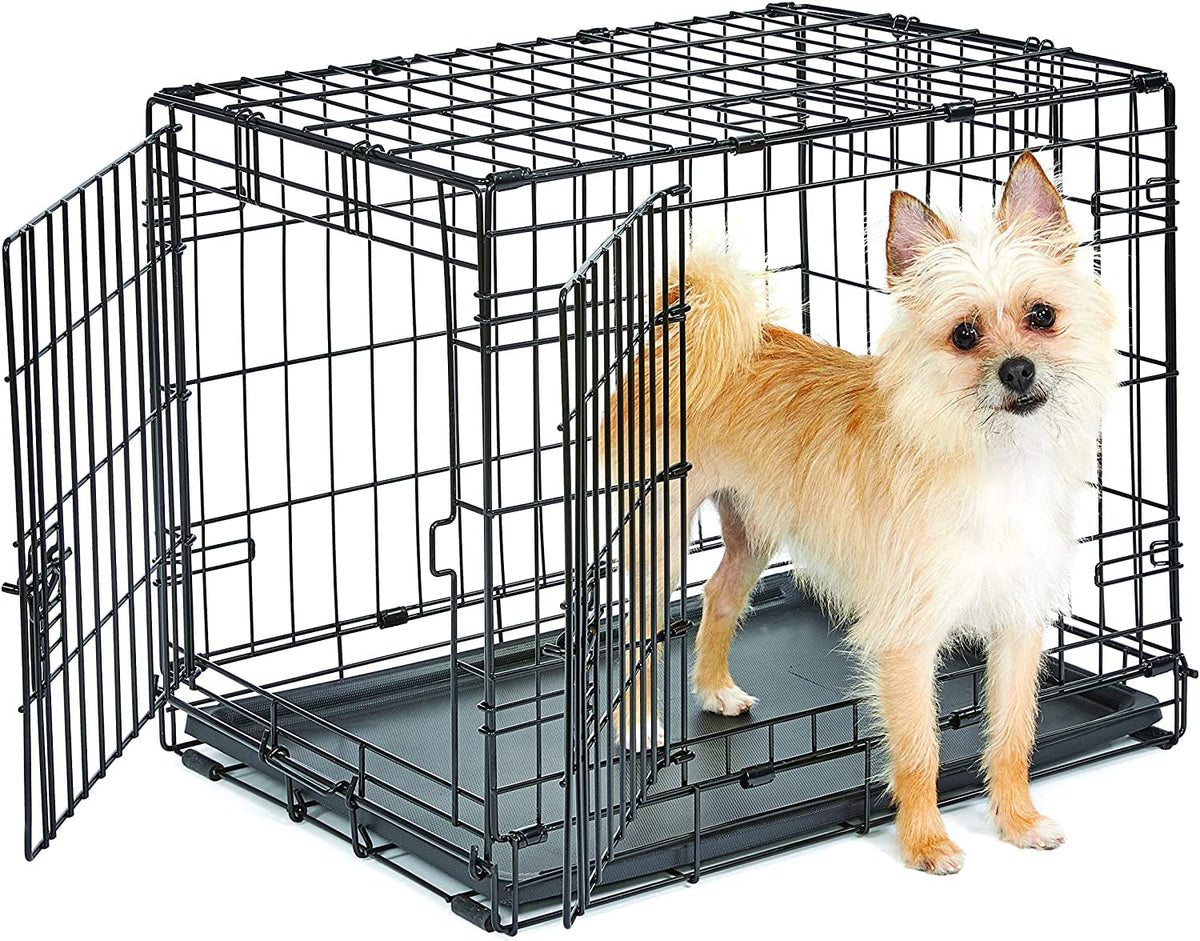 New World 24-inch crate for small dogs provides a secure, cozy space.