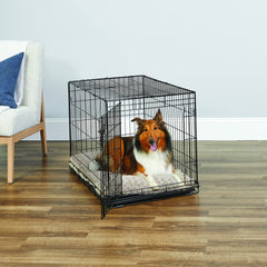 New World crate door latch close-up emphasizes added paw block for safety.