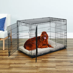 New World crate folding mechanism enables quick collapse for travel