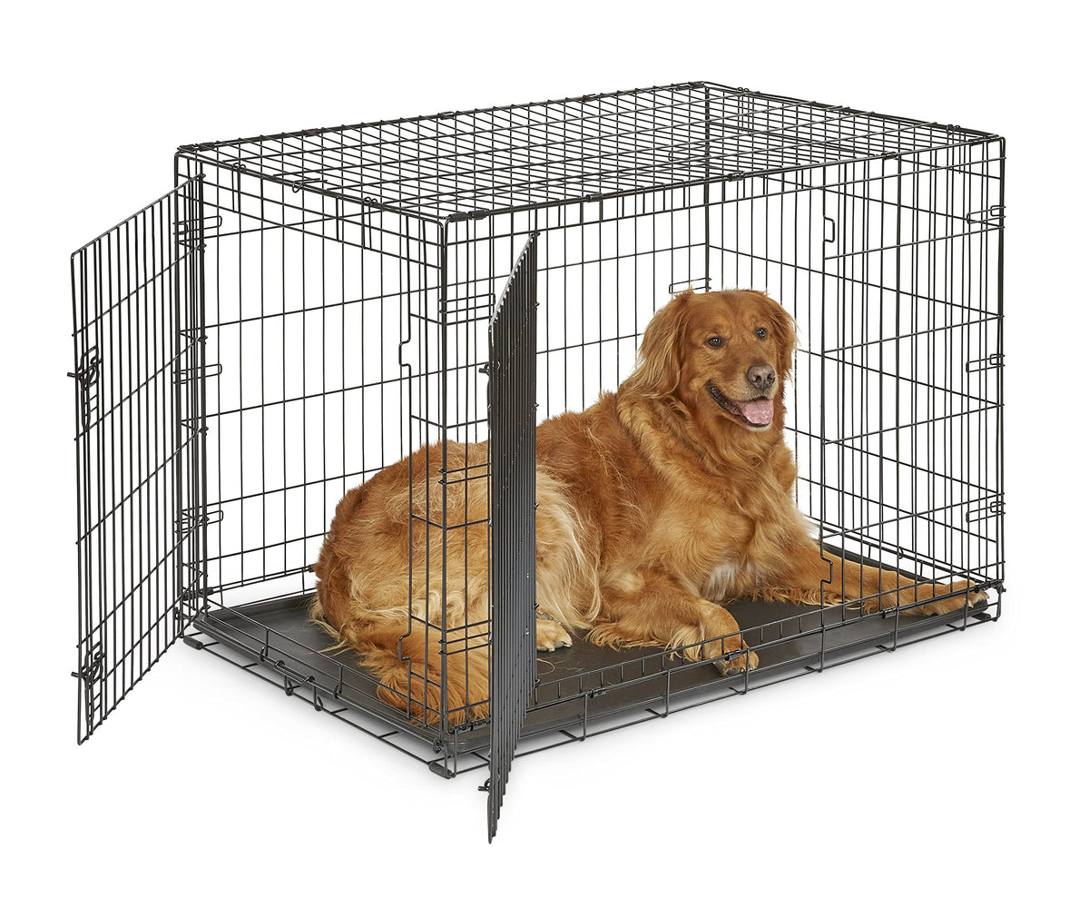 New World crate large-breed assembly demonstrates easy tool-free setup for busy households