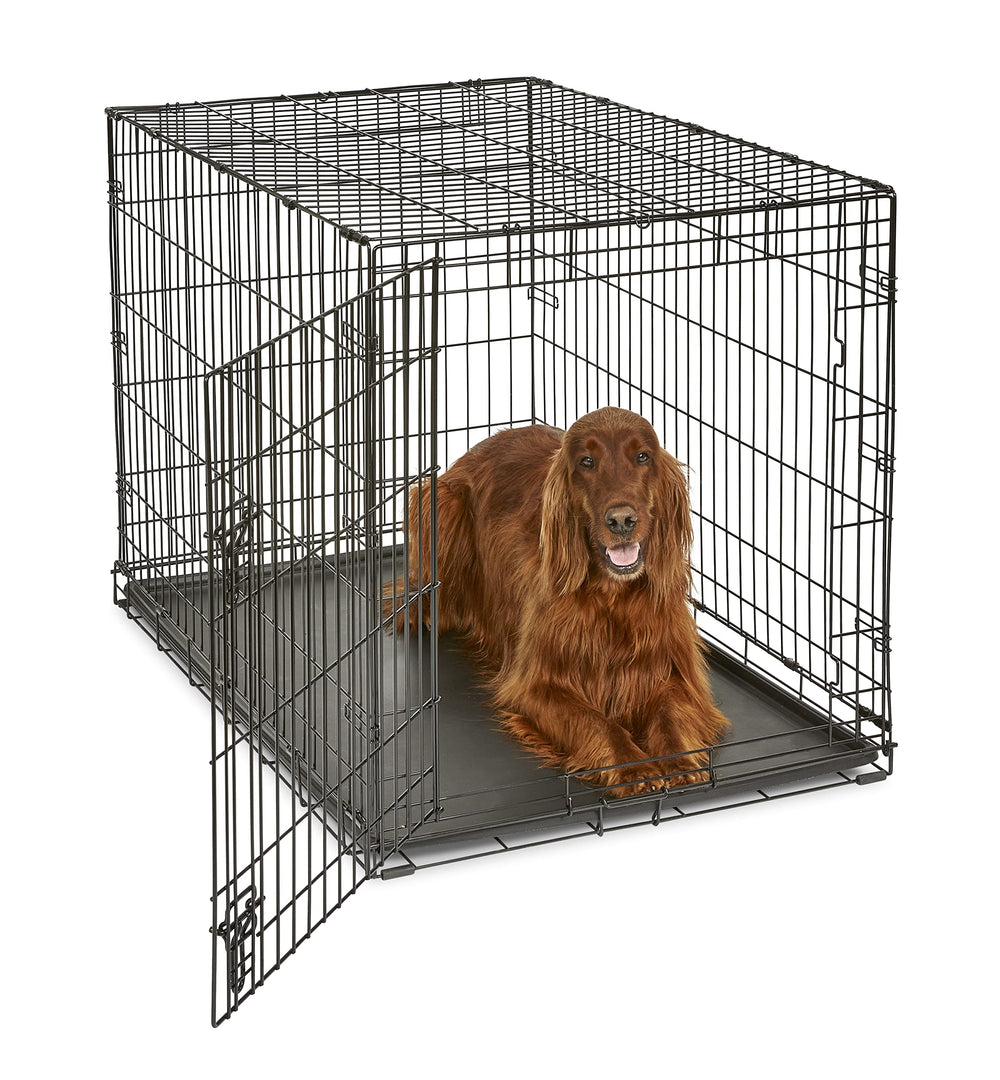 New World large-breed crate setup offers spacious interior for 71-90 lb dogs.