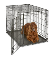 New World large-breed crate setup offers spacious interior for 71-90 lb dogs.