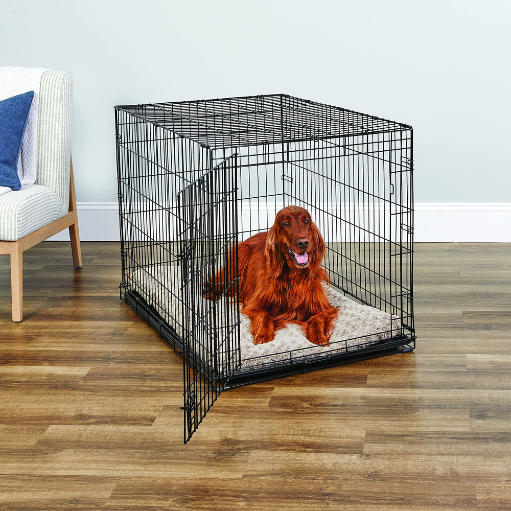New World crate Paw Block enhances security with a sturdy latch protection.