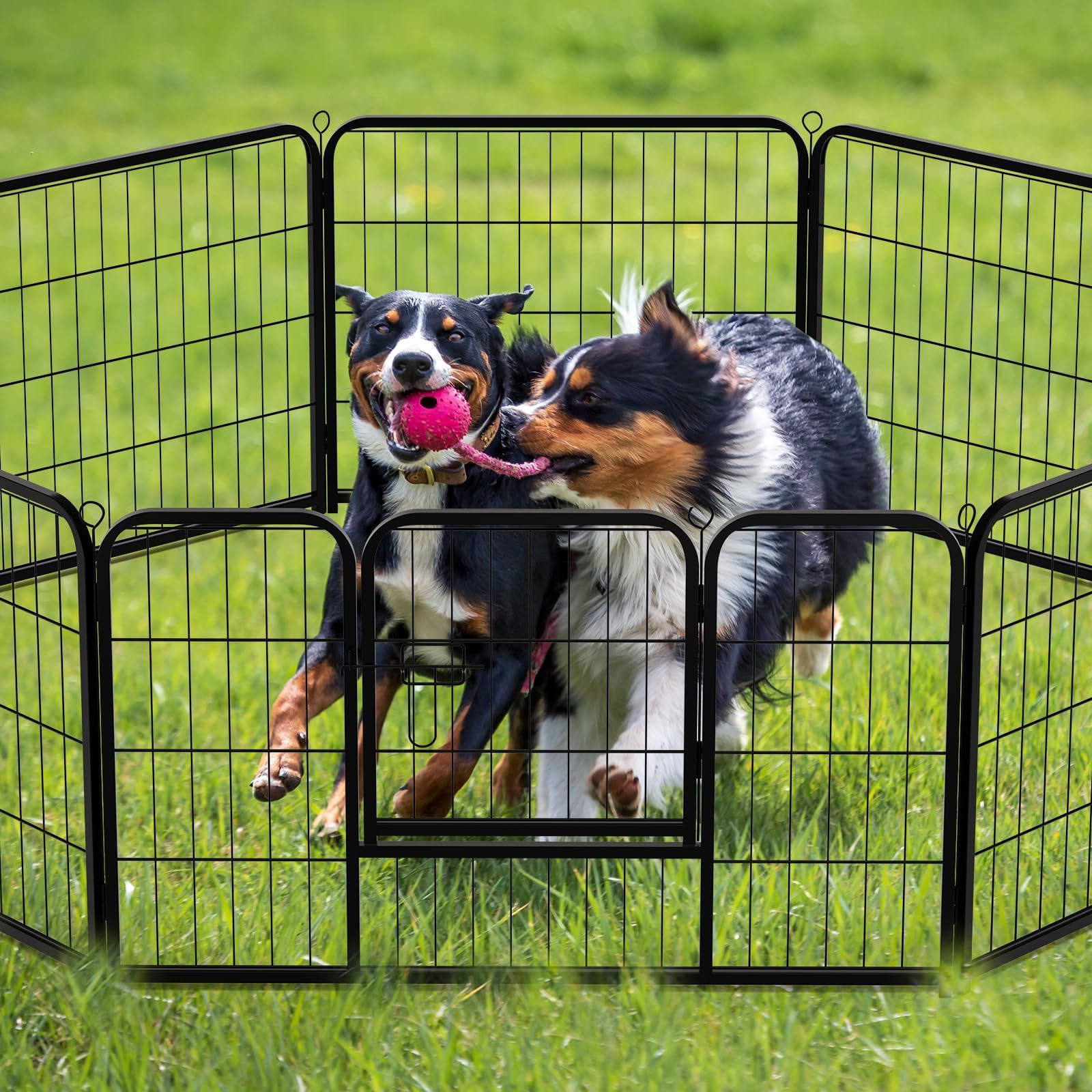 NEWBULIG dog playpen pet-friendly design accommodates small animals