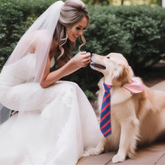 Newcotte easy-wear dog ties no-tie design simplifies dressing your dog quickly
