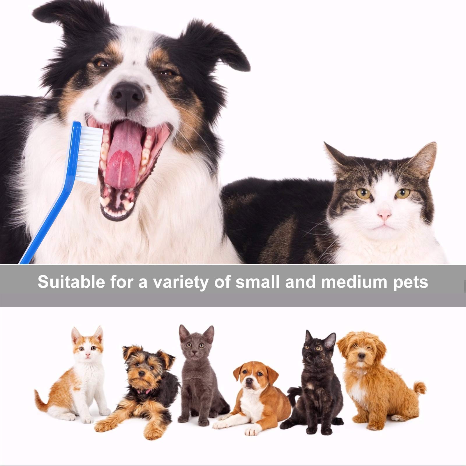 Newday soft-bristle dog-cat toothbrush promoting gentle cleaning