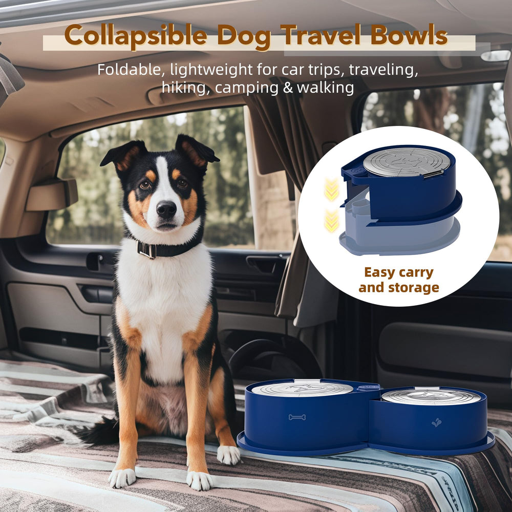 Newget large-capacity bowls fit pets of all sizes.