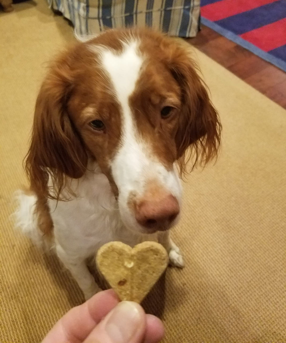 Newman's Own charity-focused dog biscuits pack of six for thoughtful gifting