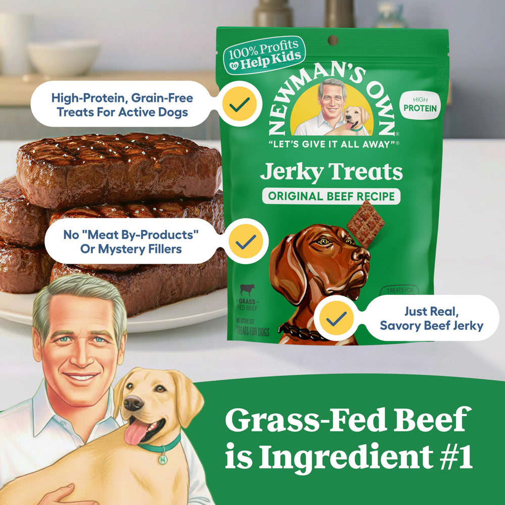 Newman's Own grain-free beef jerky dog treats slices highlighting grain-free formula