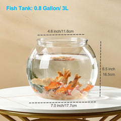 Newpol aquarium starter kit featuring unique shape for compact spaces
