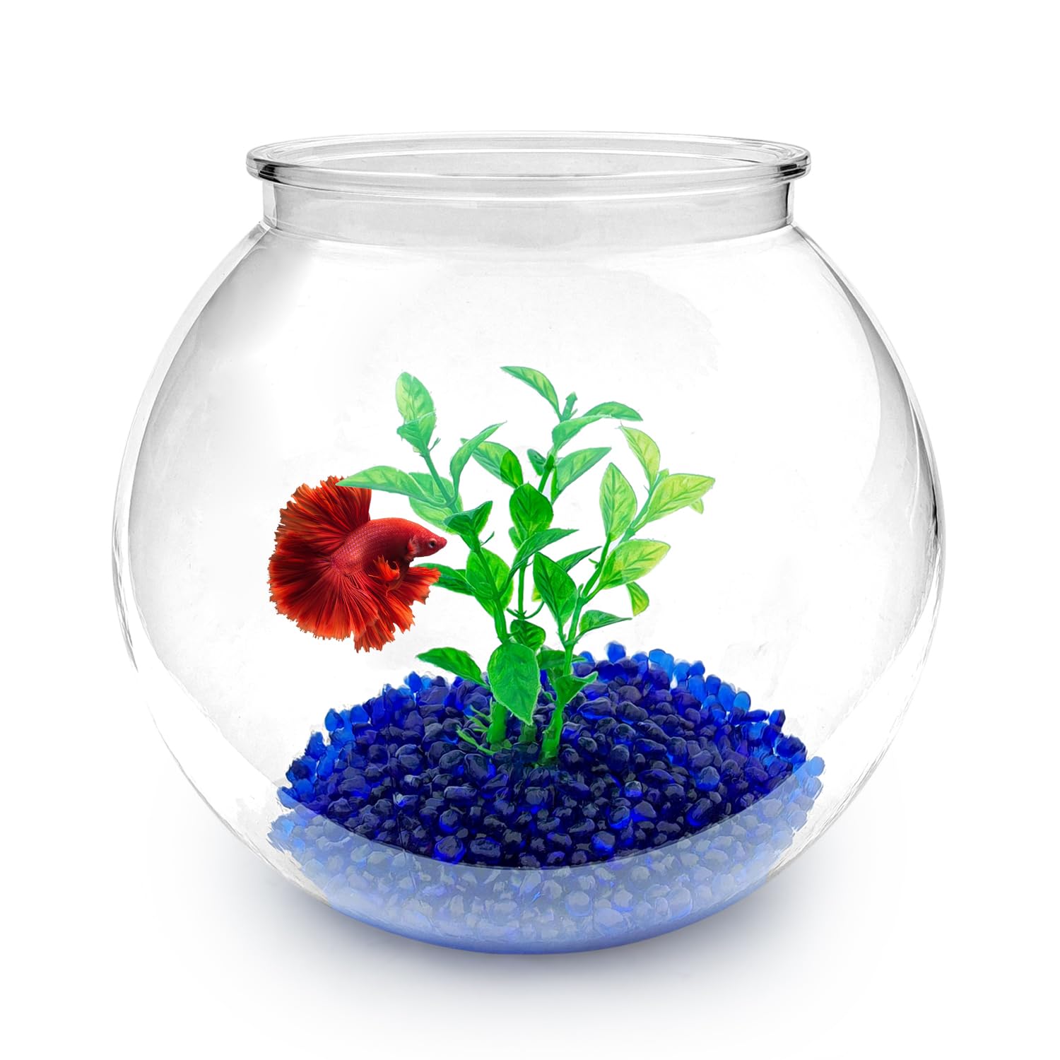 Newpol mini aquarium 0.8 gallon setup viewed from multiple angles for versatile display