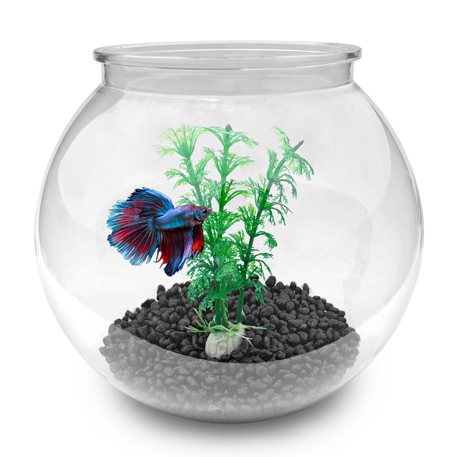 Newpol mini aquarium bowl shown with bright, clear view of the 0.8 gallon capacity.