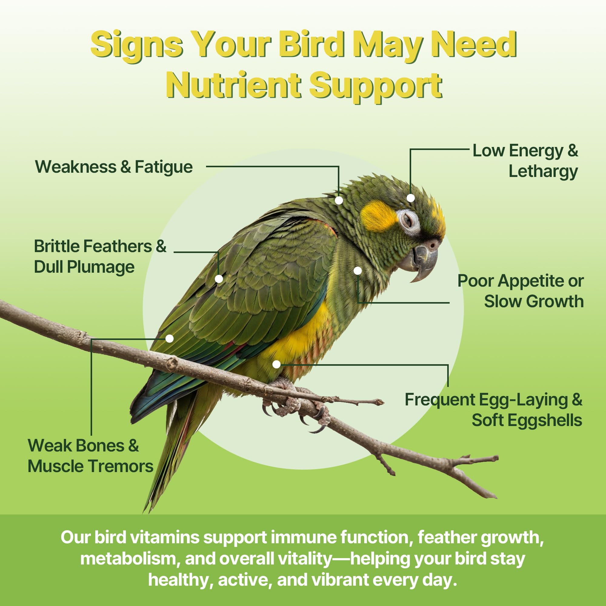 Nexalo Rithu Bird Vitamins includes 13 vitamins for balanced nutrition