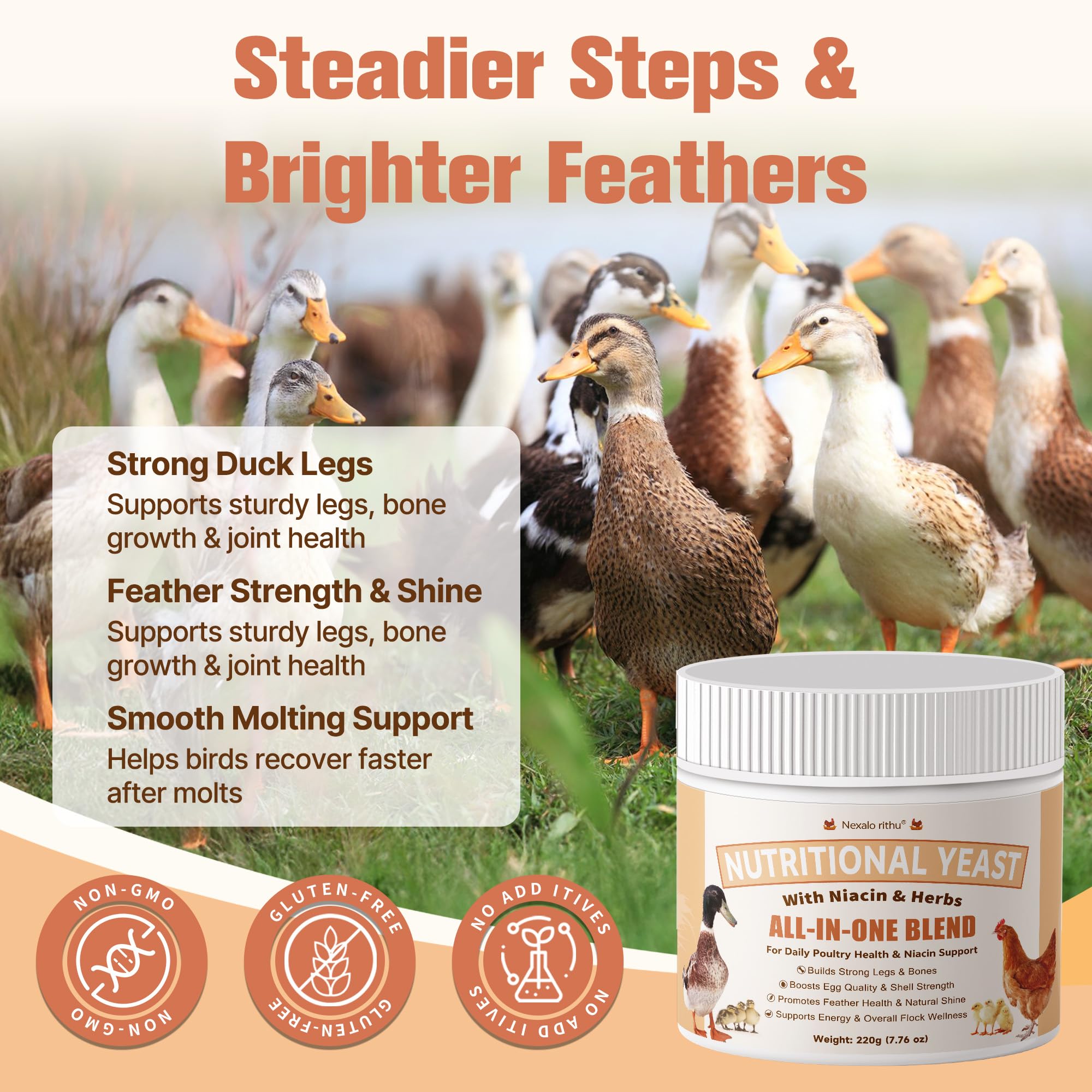 Nexalo Rithu chicks showing strong bones and growth from supplementation.