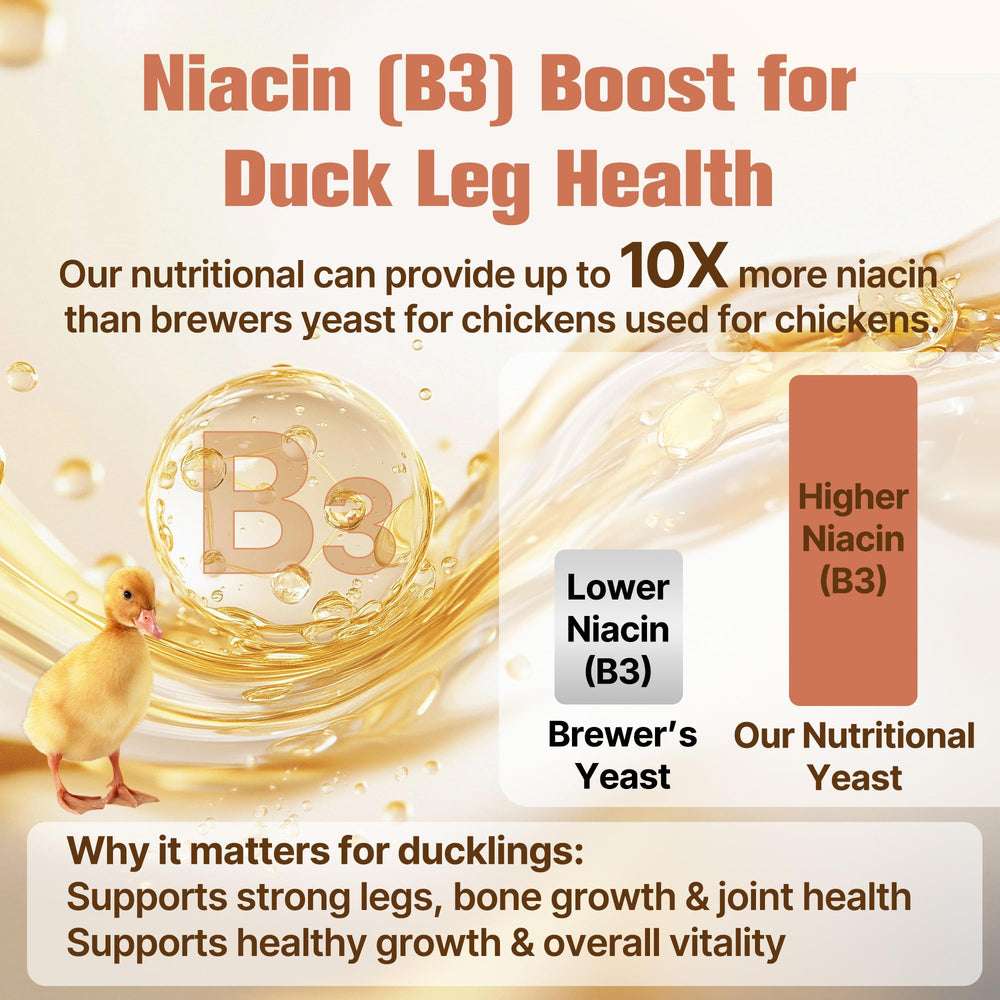 Nexalo Rithu yeast mixed feed providing steady nutrition for growth.