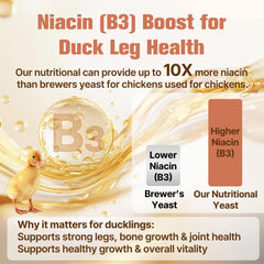 Nexalo Rithu yeast mixed feed providing steady nutrition for growth.