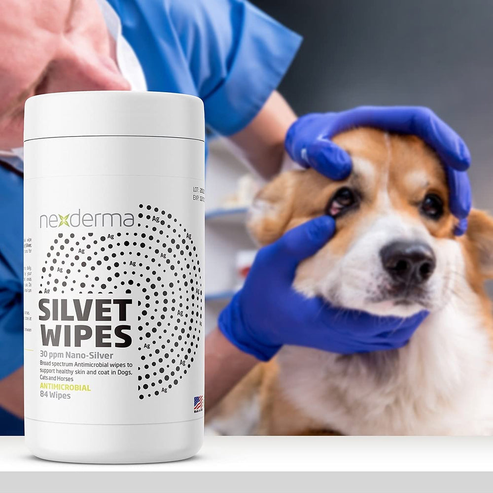 NEXDERMA pet wipes belly and rear for quick hygiene between baths