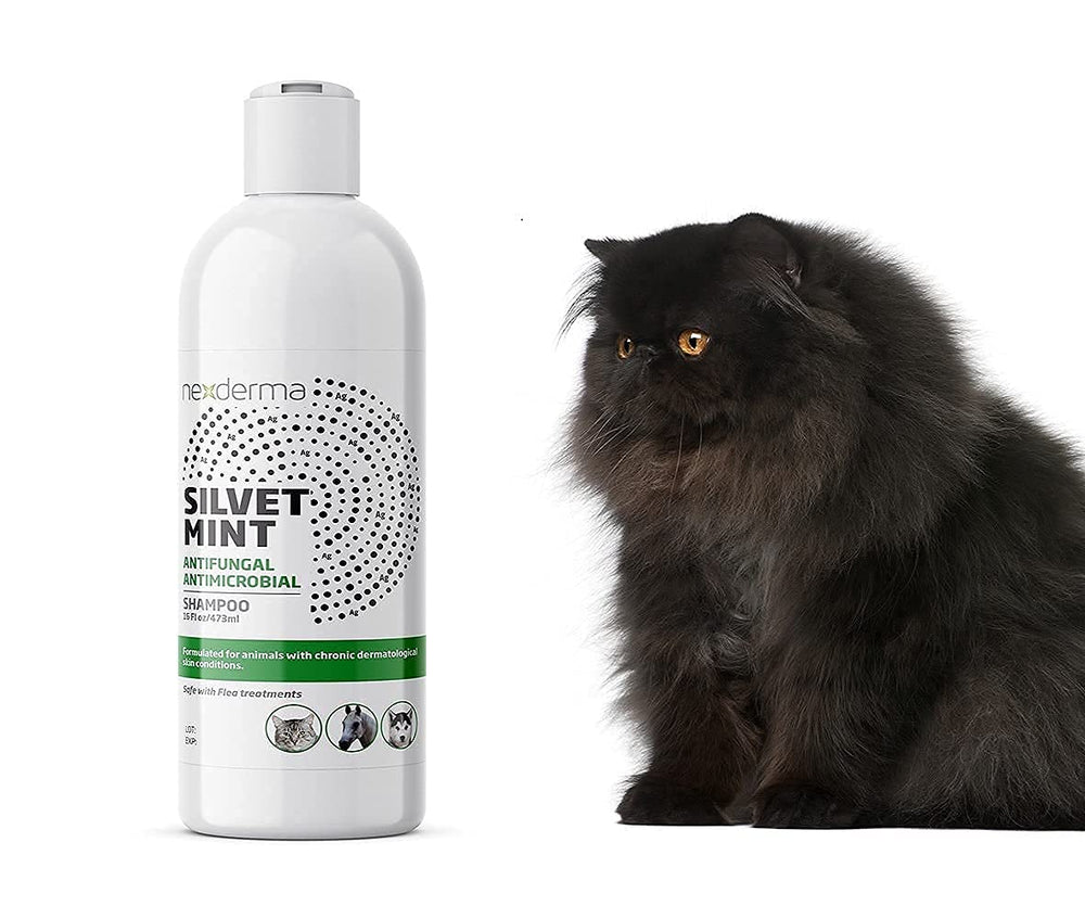 NEXDERMA Silvet shampoo after-bath care for refreshed coat.