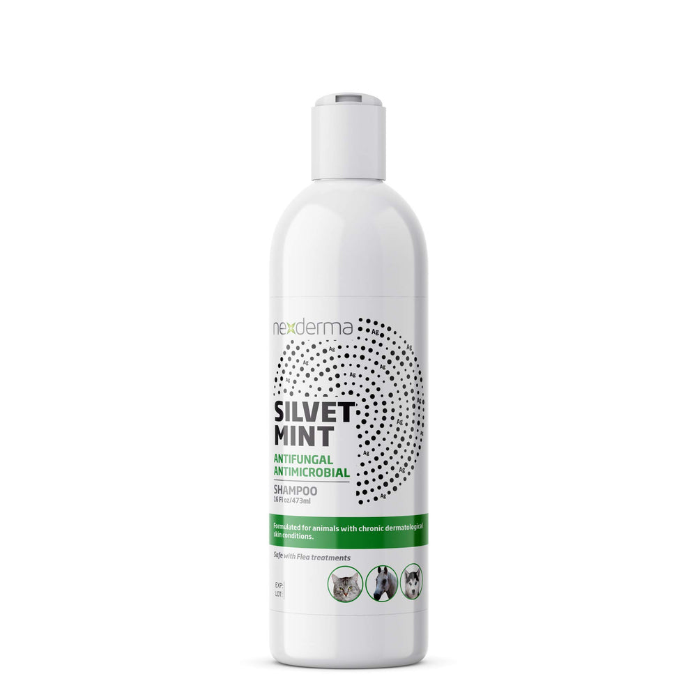 NEXDERMA Silvet shampoo bottle highlighting tearless, hypoallergenic pet care.