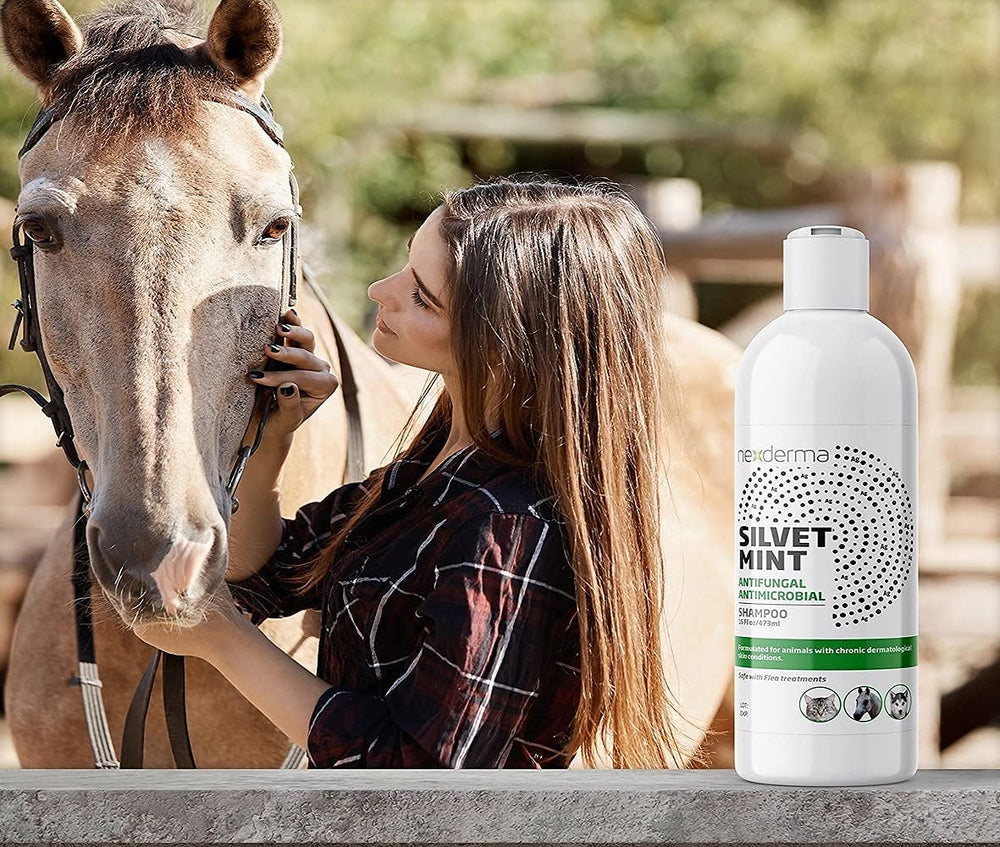 NEXDERMA Silvet shampoo ingredients: oats, vitamin E, mint, coconut oil.