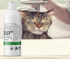 NEXDERMA Silvet shampoo label features colloidal silver for skin support.