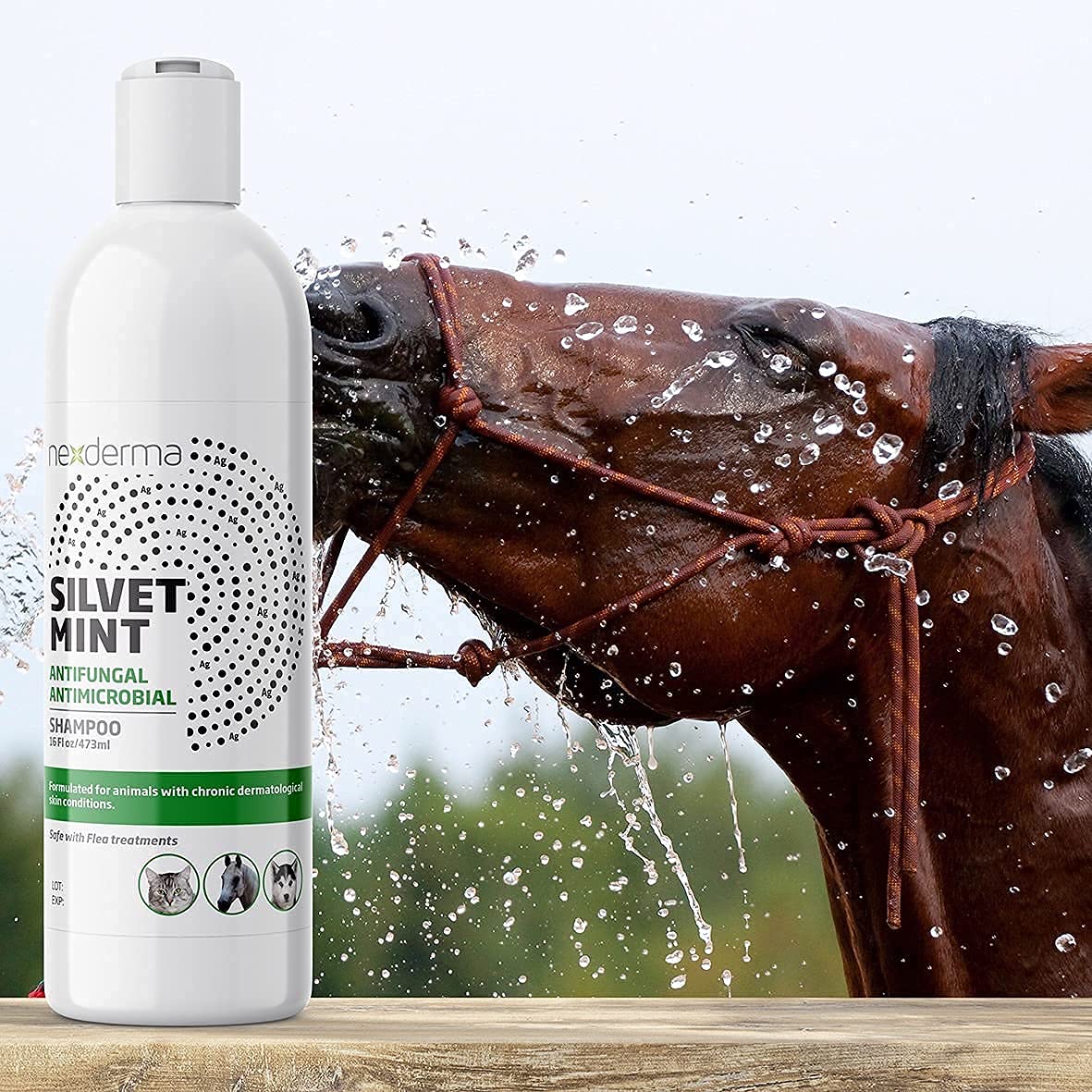 NEXDERMA Silvet shampoo lather with mint and coconut conditioning.