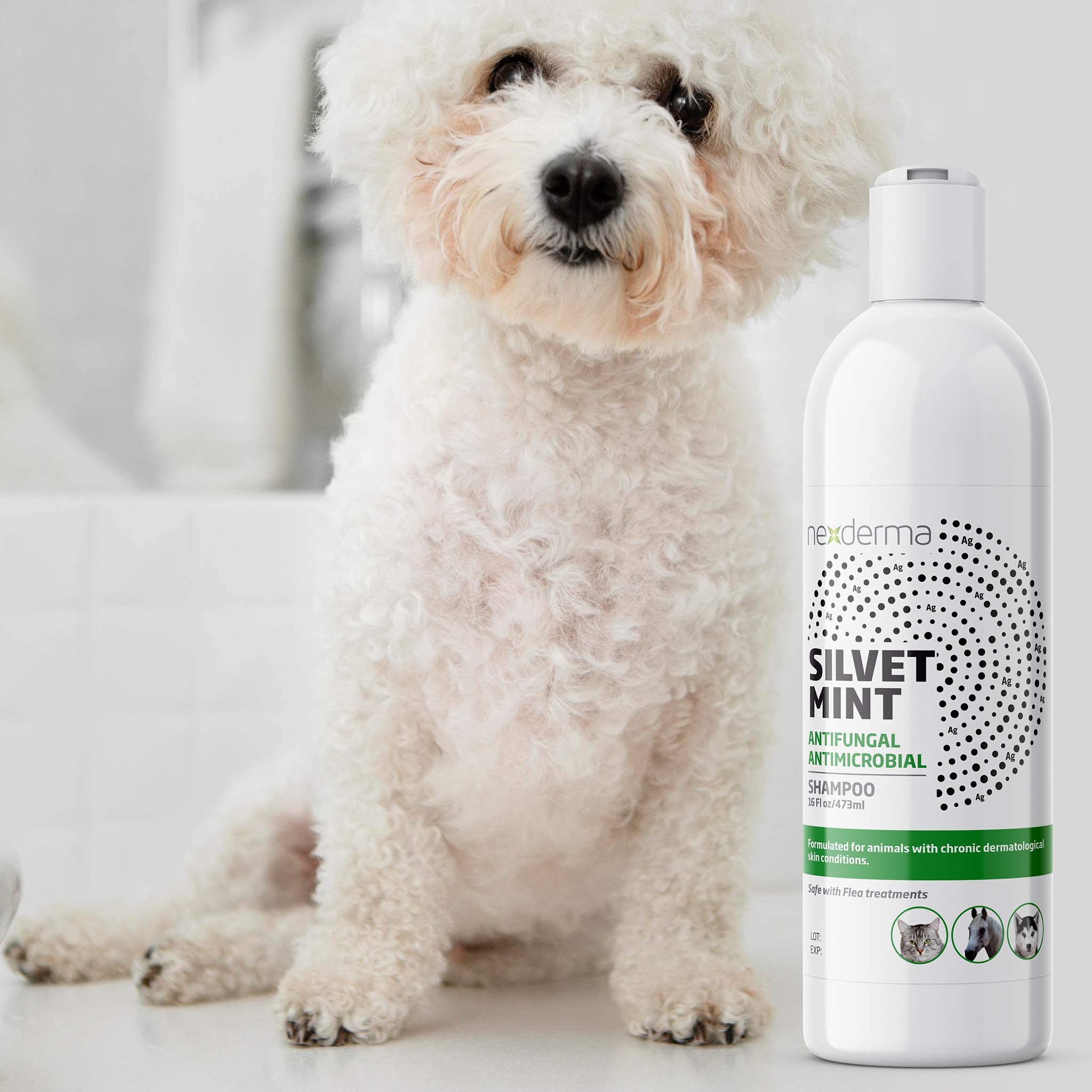 NEXDERMA Silvet shampoo packaging box with veterinarian-recommended formula.