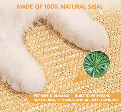 Nexlythara dual-use scratch pad and comfort rug support healthy play and rest.
