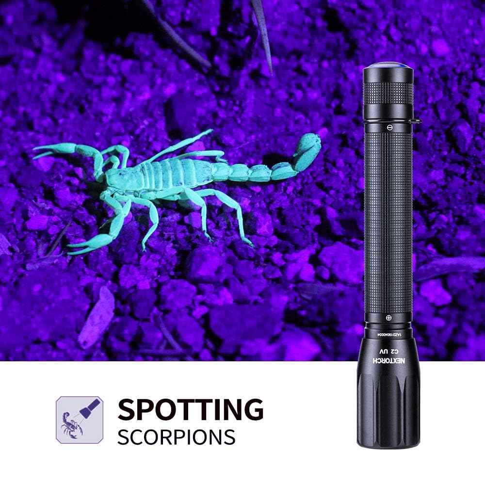 NEXTORCH C2UV reveals stains on carpets and rugs under UV light