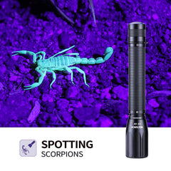 NEXTORCH C2UV reveals stains on carpets and rugs under UV light