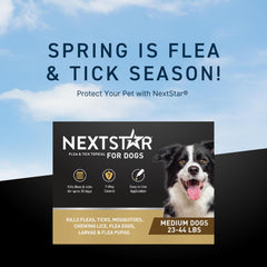 NEXTSTAR application scene on dog demonstrates easy, fast protection.