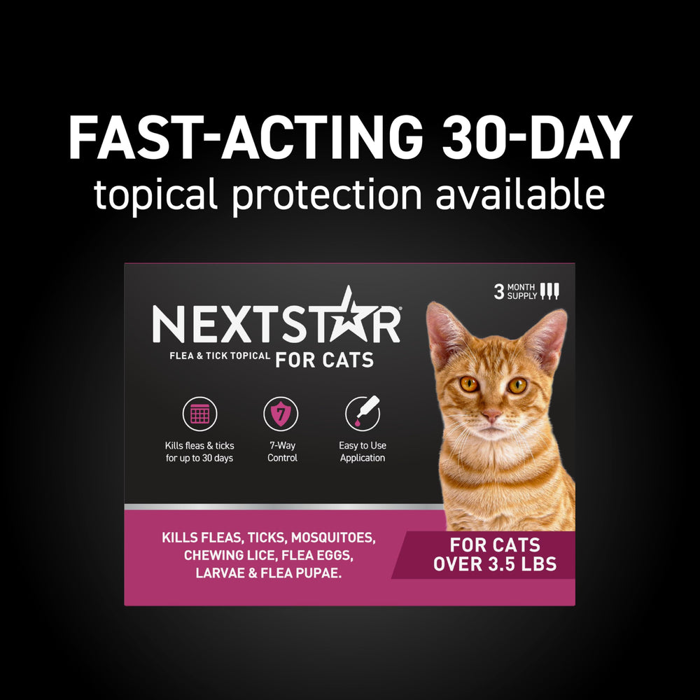 NEXTSTAR waterproof topical on cat fur providing long-lasting protection.