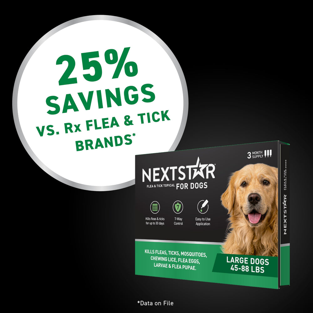NEXTSTAR responsive support team helps with your pet’s protection.