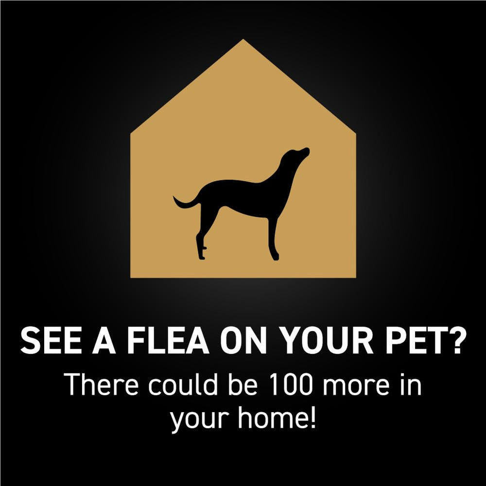 NEXTSTAR easy-application dog drops applied along the dog's back.